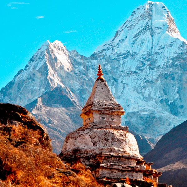 a women with a camera