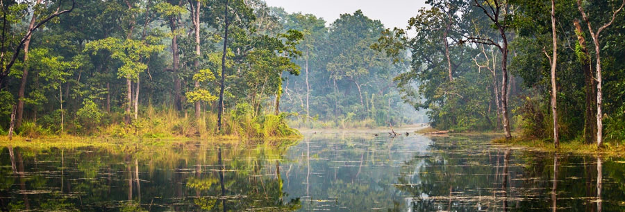 CHITWAN NATIONAL PARK