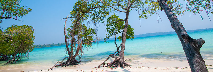 Havelock Island