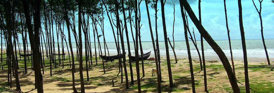 TAJPUR BEACH